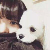 动漫短发女生抱猫头像个性网