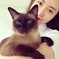 欧美男生抱着猫头像