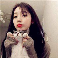 欧美范情侣抱猫头像