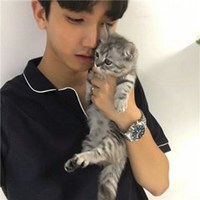 原宿女抱猫头像欧美