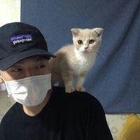 动漫男生抱白猫头像