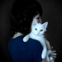 动漫女生抱着猫头像