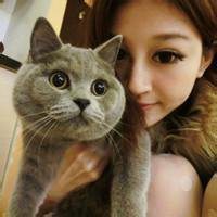 微信抱猫头像动漫头像个性网