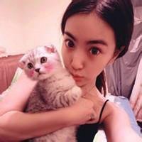 帅哥抱着猫头像