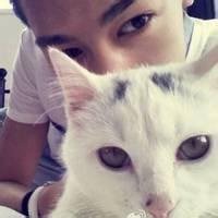 欧美男生抱英短猫头像