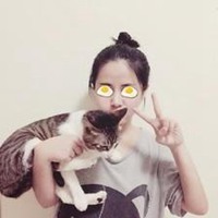 情侣抱猫头像动漫头像