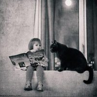 欧美女抱猫头像