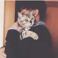 男人抱猫头像阳光下