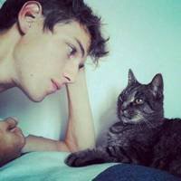 人抱猫头像大全