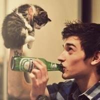 欧美霸气女生抱猫头像