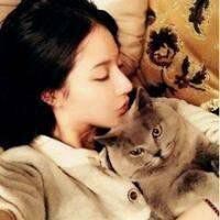 情侣抱猫头像一男一女