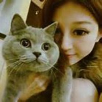 夏目抱着猫头像