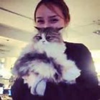 欧美男生抱英短猫头像