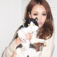 女生抱猫头像2018