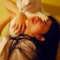 动漫男生抱着猫头像