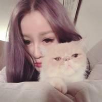 二次元抱猫头像个性网