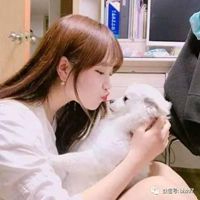 简约男生抱猫头像唯美