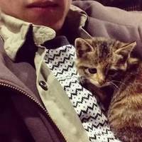 二次元抱猫头像