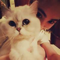 原宿女抱猫头像欧美