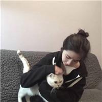 韩男生抱猫头像个性网