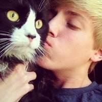 欧美男生抱英短猫头像