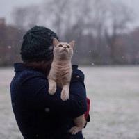 简约男生抱猫头像唯美