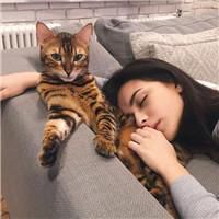 唯美女生抱猫头像欧美