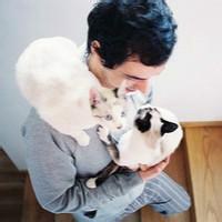 高颜值美女抱猫头像