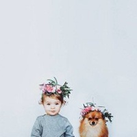 全门派萝莉雪河头像