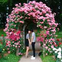 情侣头像可爱小孩高清头像