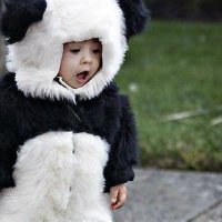 可爱小孩亲吻头像