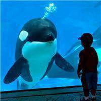 戴帽子可爱小孩头像