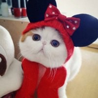 男生头像可爱小孩