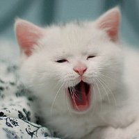 欧美可爱小孩搞怪头像