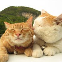 两搞怪情侣带字头像