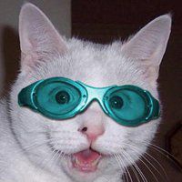 男生搞怪小孩头像吧