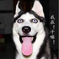 欧美萌娃女头像搞怪头像