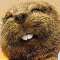 搞怪萌萌哒微信头像