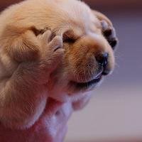 外国小朋友搞怪头像可爱