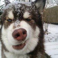 微信头像男2018搞怪