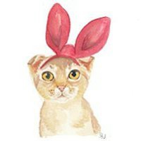 头像搞怪最新版个性