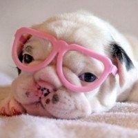 欧美风动漫搞怪头像