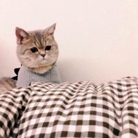 简约搞怪情侣头像吧