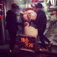 创意搞怪小清新头像卡通