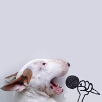 混血小女孩头像搞怪