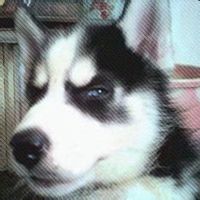 微信情侣头像二次元搞怪