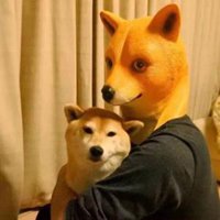 韩系搞怪女神经头像