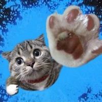 欧美萌娃女头像搞怪头像