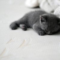 黑白动漫帅气高清头像男生头像