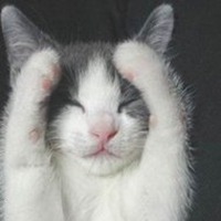 微信黑白动漫头像男生头像素材